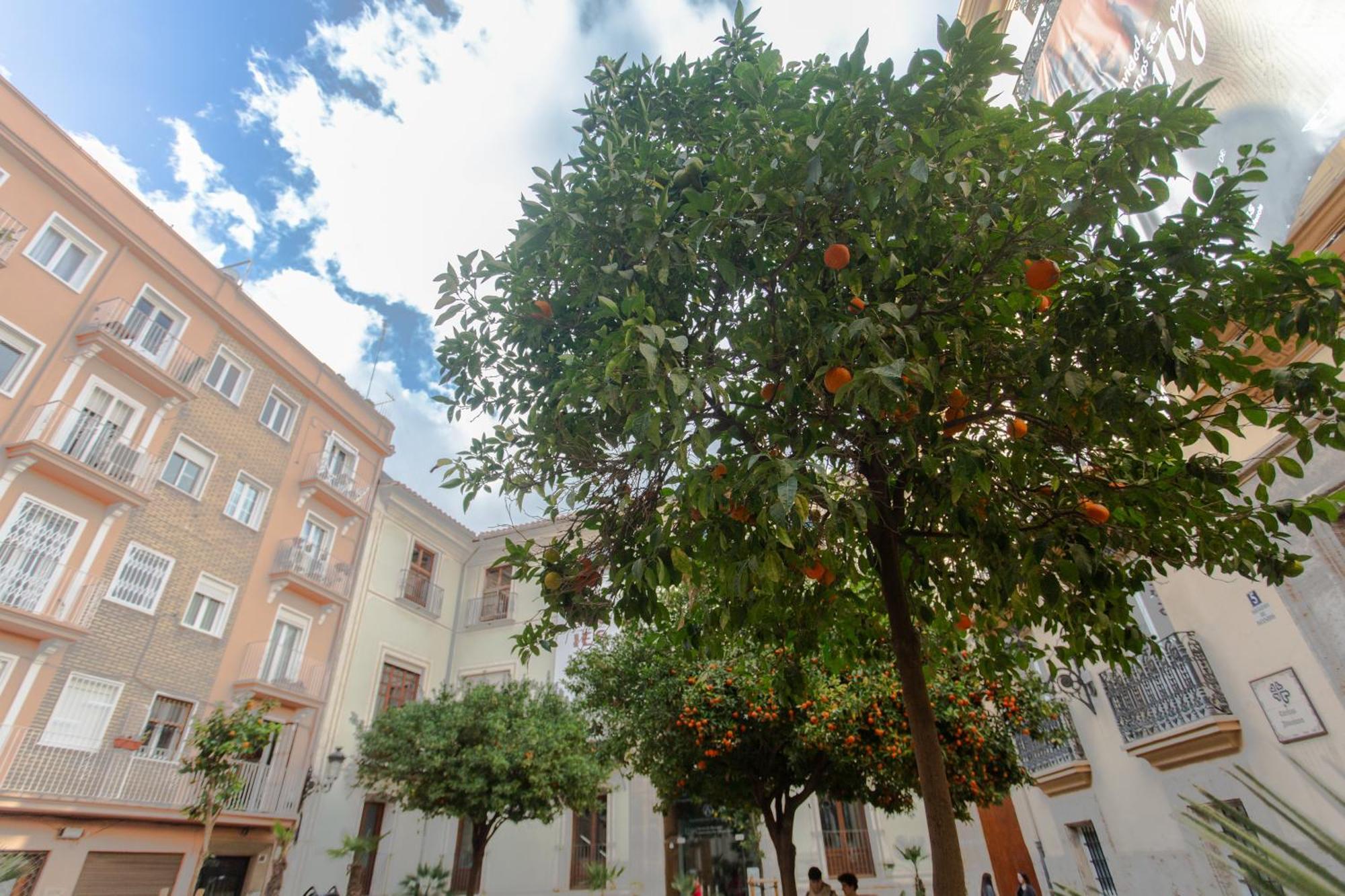 Vlc - Tranquilo Apartamento En Plaza Cisneros 瓦伦西亚 外观 照片