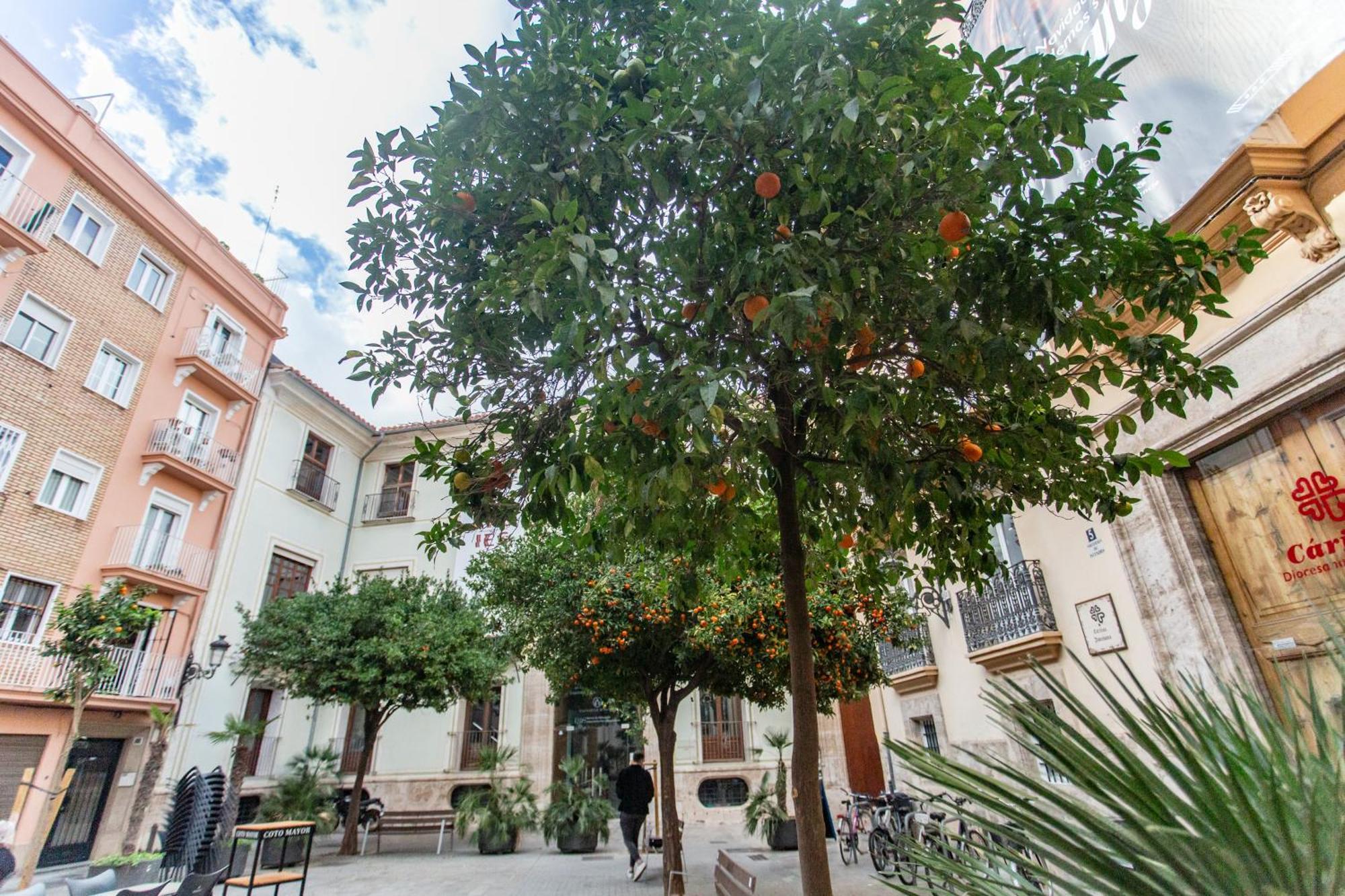 Vlc - Tranquilo Apartamento En Plaza Cisneros 瓦伦西亚 外观 照片